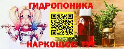 стафф Кандалакша