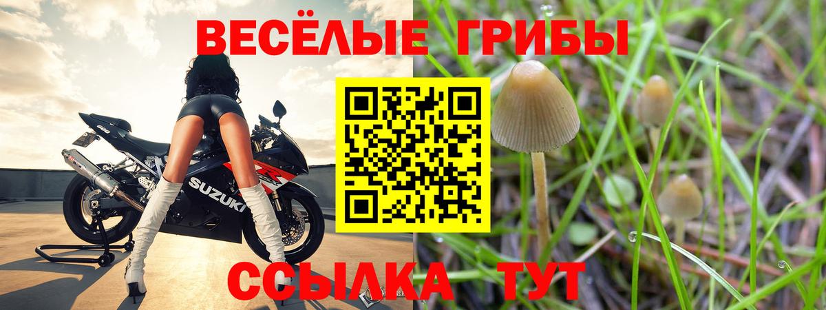 Псилоцибиновые грибы мицелий  Вход с VPN  закладка  Кыштым 